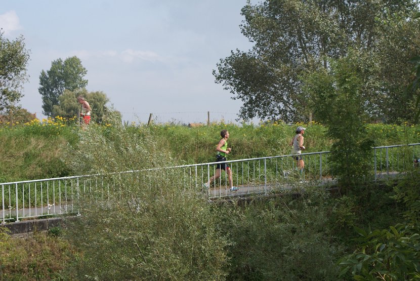 IFF 2014 - 091